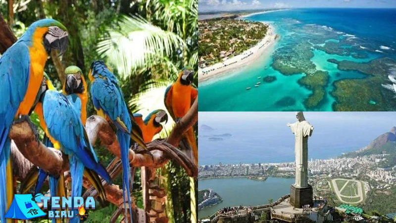 Kenali Dulu Keindahan Brazil Lebih dari Sekadar Pantai