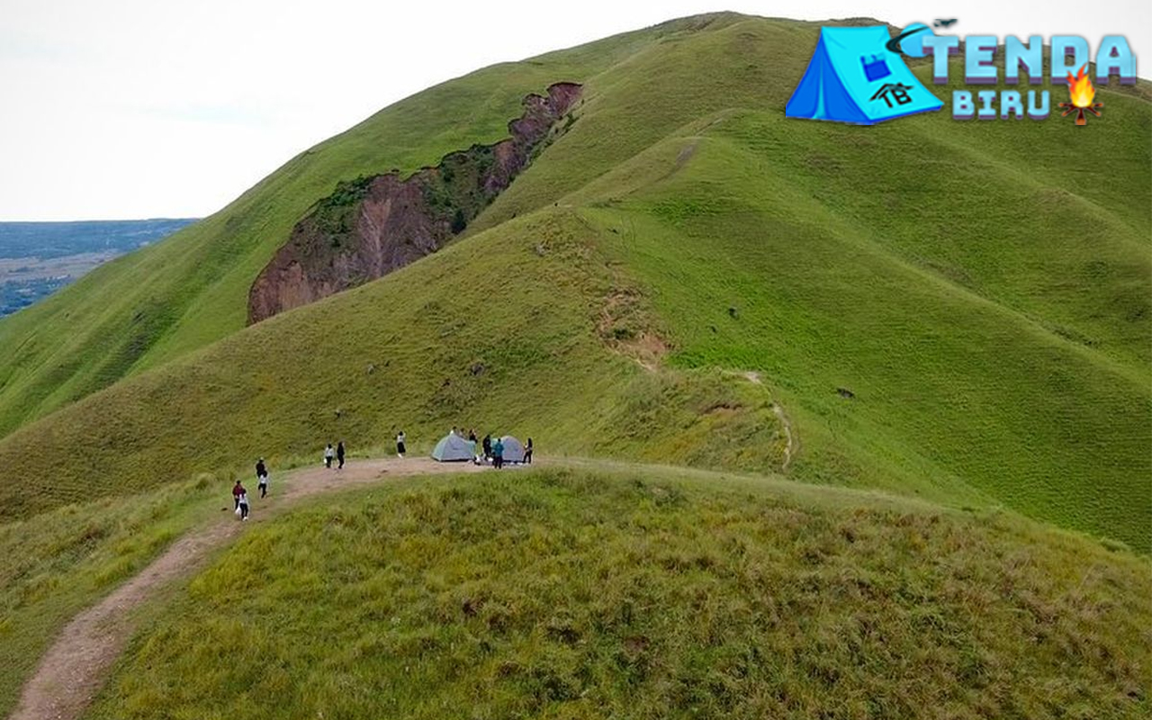 Bukit Holbung Samosir Tempat Menyatu dengan Alam!