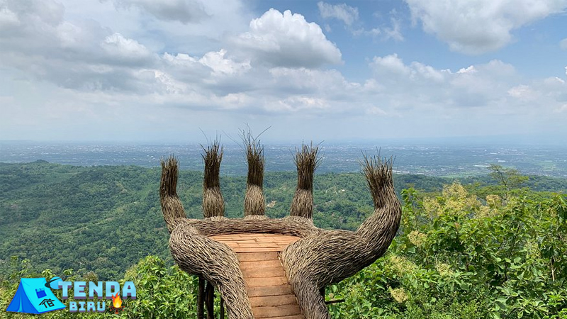 Hutan Pinus Pengger Jogja Oase Hijau di Tengah Kota Budaya!Hutan Pinus Pengger Jogja Oase Hijau di Tengah Kota Budaya!