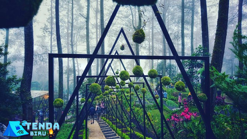 Jendela Alam Bandung: Main, Belajar, dan Santai Sekaligus!