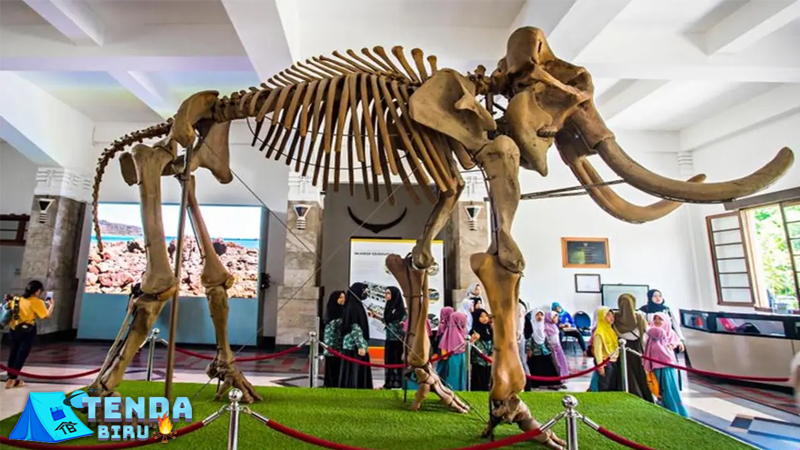 Bandung Punya Cerita Serunya Jelajah Museum Geologi!
