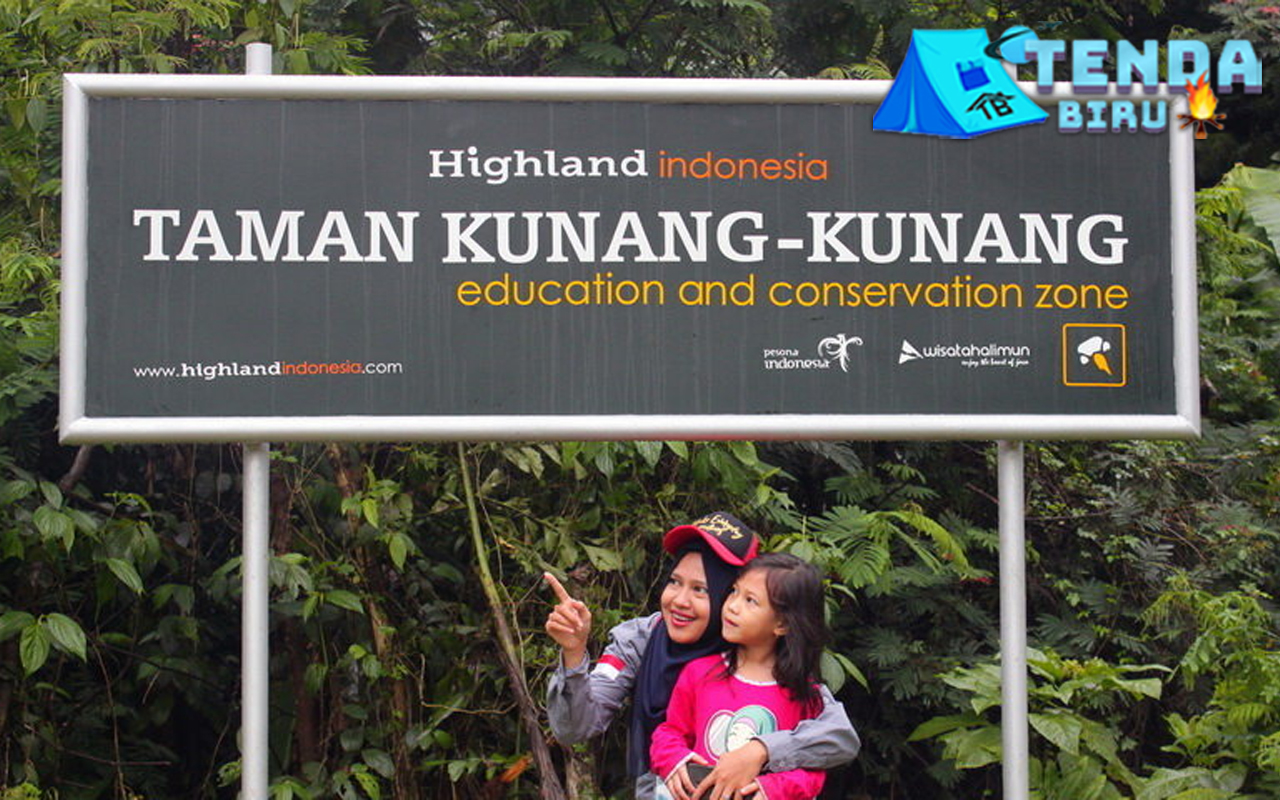 Taman Kunang Kunang Malang Keindahan Alam yang Memukau!