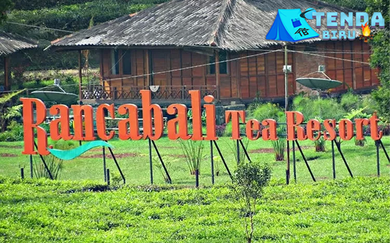 Perkebunan Teh Rancabali: Sudut Segar Bandung Tersembunyi!