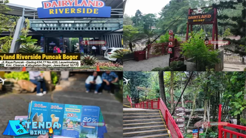Dairyland Riverside, Spot Cantik di Puncak yang Bikin Betah