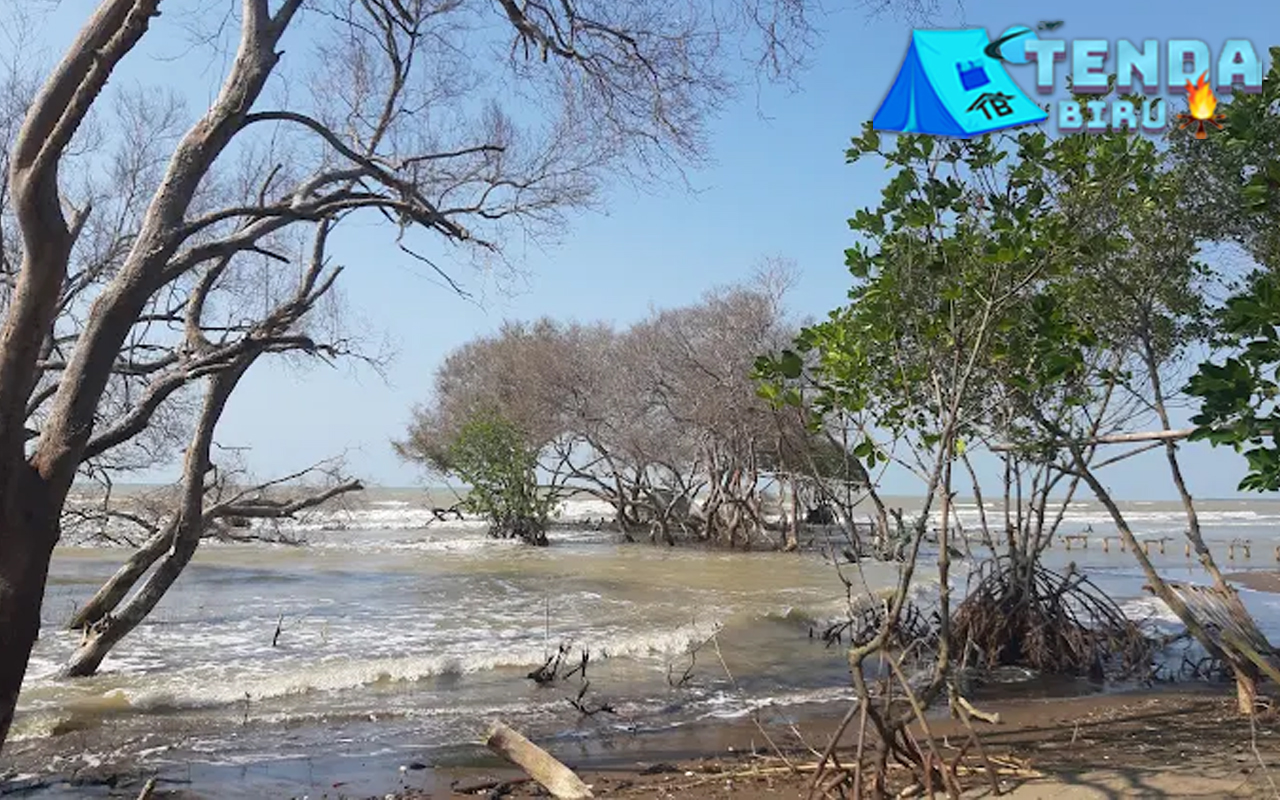 Pantai Cirewang Subang 5 Rahasia Cantik Baru Terungkap