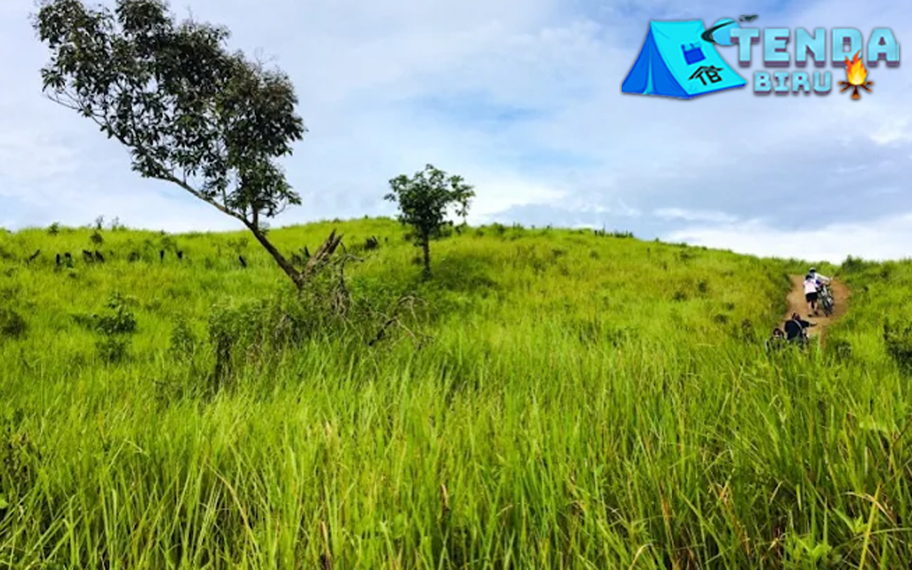 Bukit Alpha Balikpapan 5 Panorama yang Bikin Terpesona