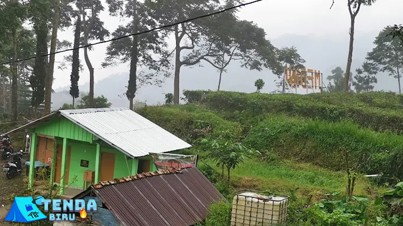 Kebun Teh Medini 1 Tempat Healing Paling Unik di Semarang
