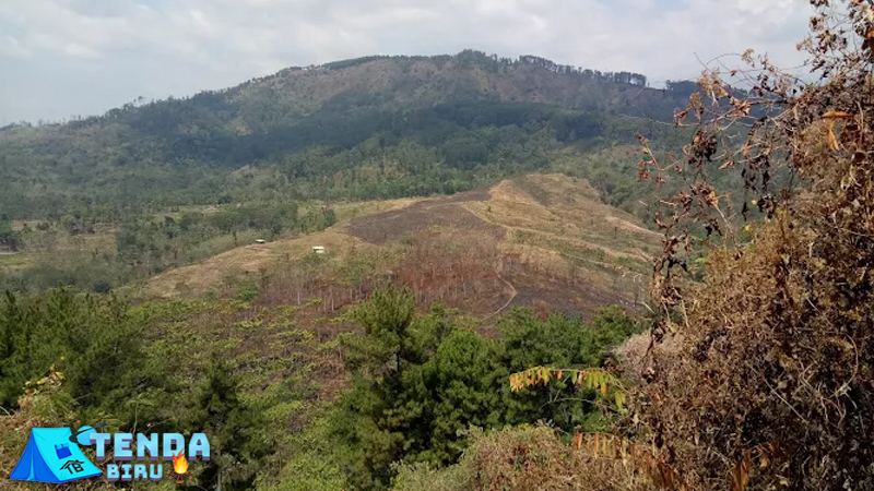 Bukit Gua Lawa 1 Spot Wisata Alam yang Menantang
