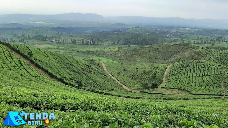 Paralayang Bukit Santiong 2x Terbang di Alam Terbuka