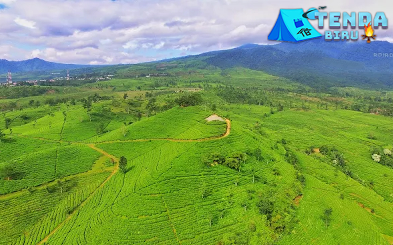 Paralayang Bukit Santiong 2x Terbang di Alam Terbuka