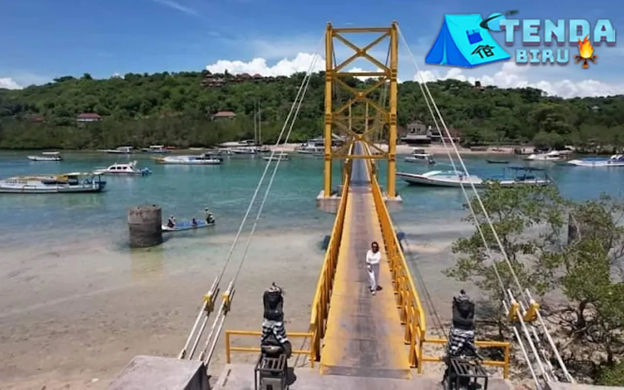 Nusa Lembongan 6 Keajaiban Laut yang Hidup