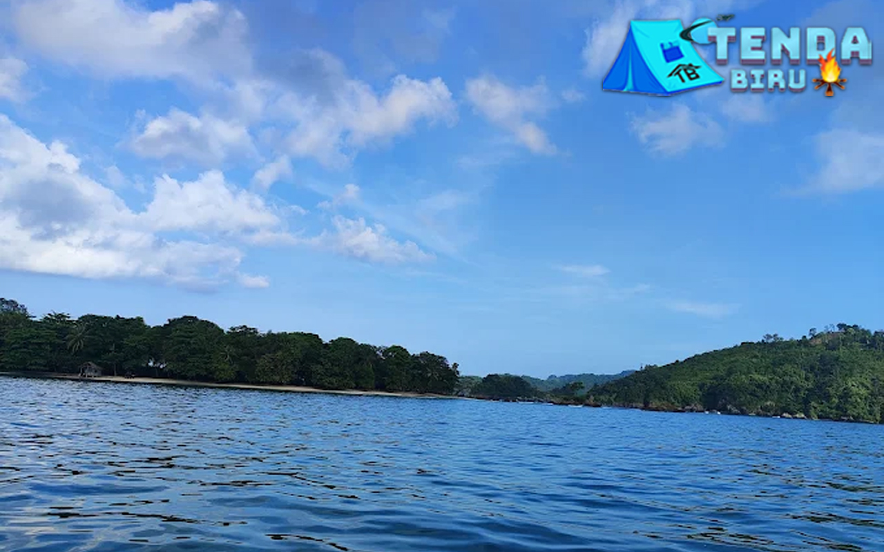 Teluk Kiluan Bertemu 5 Lumba-Lumba Cantik