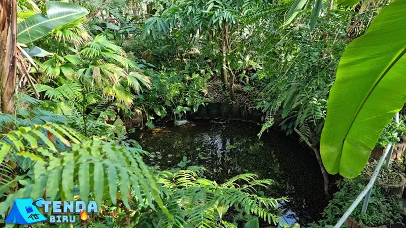 Hortus Botanicus Menyimpan Bisikan Misteri Sejak 1638