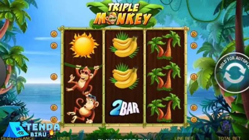 Triple Monkey Slot777 Kera Bandel Hidup