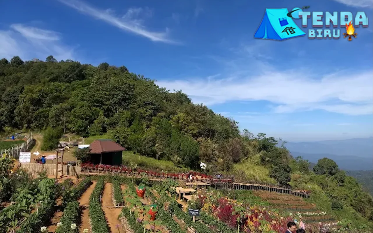 Mon Jam 30 Pemandangan Indah Bikin Sakit