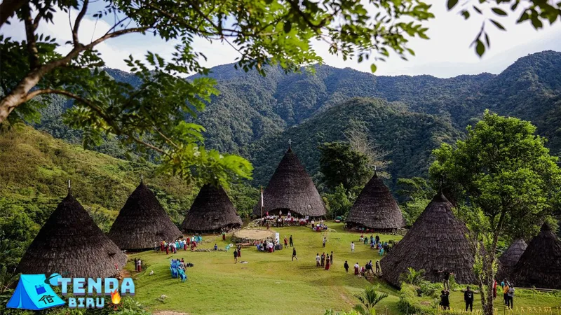 Waerebo Village, 4 Alasan Jadi Destinasi di Indonesia