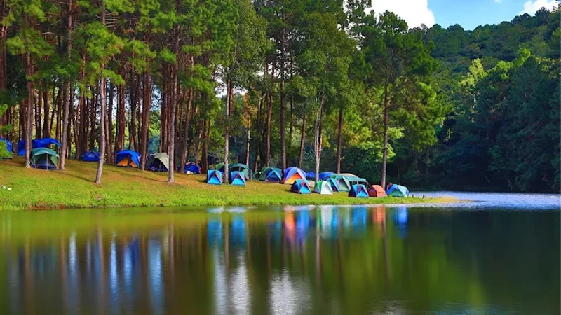 Pang Ung Cermin Cantik di Pelukan 250 Pinus