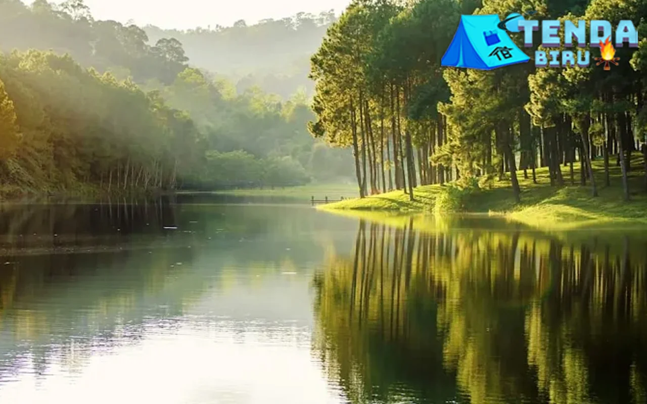 Pang Ung Cermin Cantik di Pelukan 250 Pinus 1 Pang Ung Cermin Cantik di Pelukan 250 Pinus