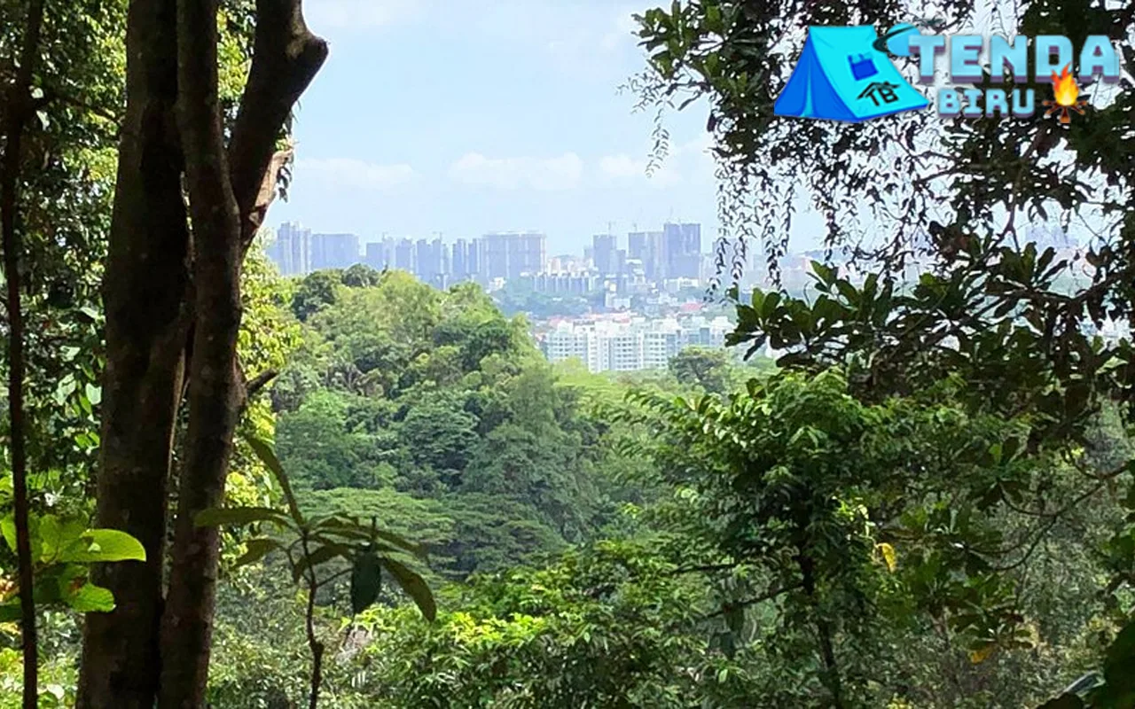 Bukit Timah Hill Tempat 1000 Satwa Liar Nongki Asyik!