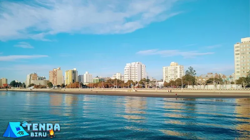 Puerto Madryn Dari Paus Haingga dalam 6 Penguin