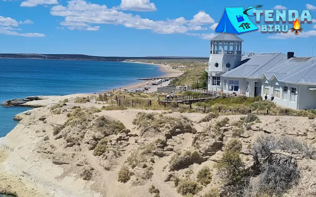 Puerto Madryn Dari Paus Haingga dalam 6 Penguin