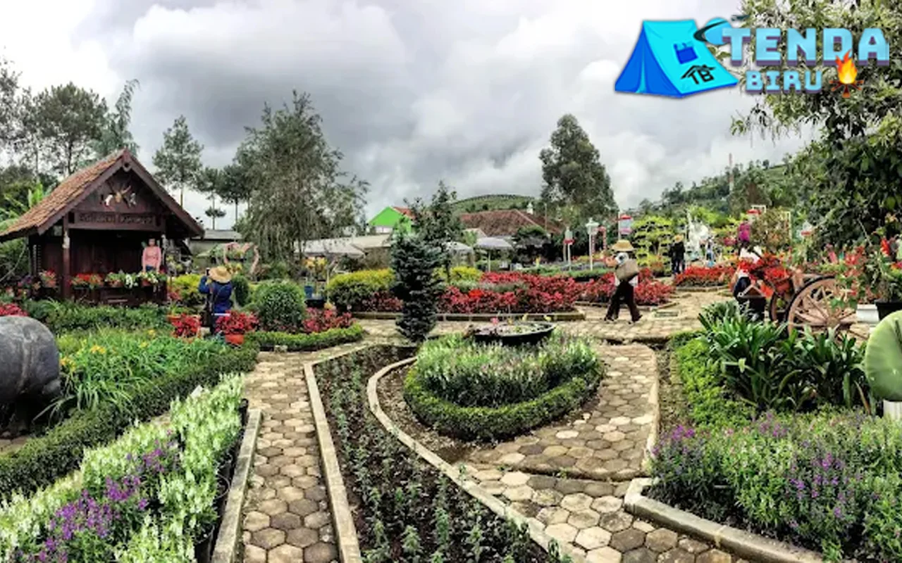 Kebun Begonia: Tepat 6 Romantisme di Setiap Sudutnya! 1 Kebun Begonia: Tepat 6 Romantisme di Setiap Sudutnya!