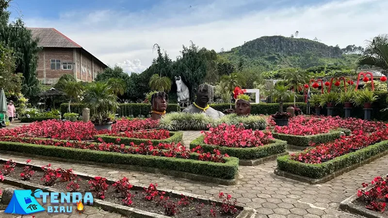 Kebun Begonia: Tepat 6 Romantisme di Setiap Sudutnya! 2 Kebun Begonia: Tepat 6 Romantisme di Setiap Sudutnya!