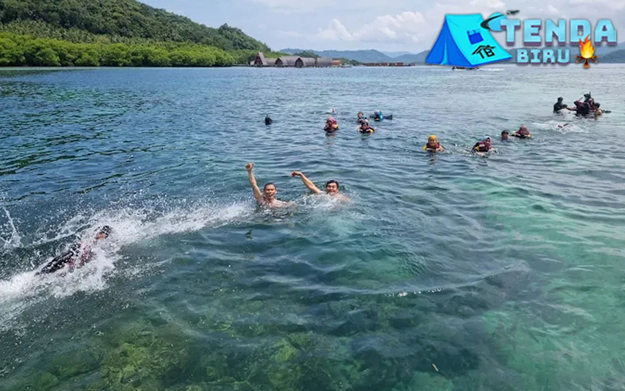 Pahawang Cantik Snorkeling dan 6 Diving Sepuasnya!