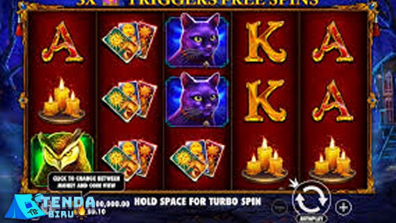 Madame Destiny 875 Jangan Takut Maju Duluan! 2 Madame Destiny 875 Jangan Takut Maju Duluan!