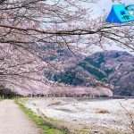 Golden Week 7 Liburan Emas yang Penuh Antrean