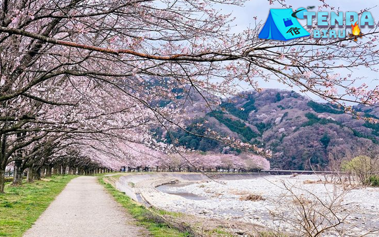 Golden Week 7 Liburan Emas yang Penuh Antrean